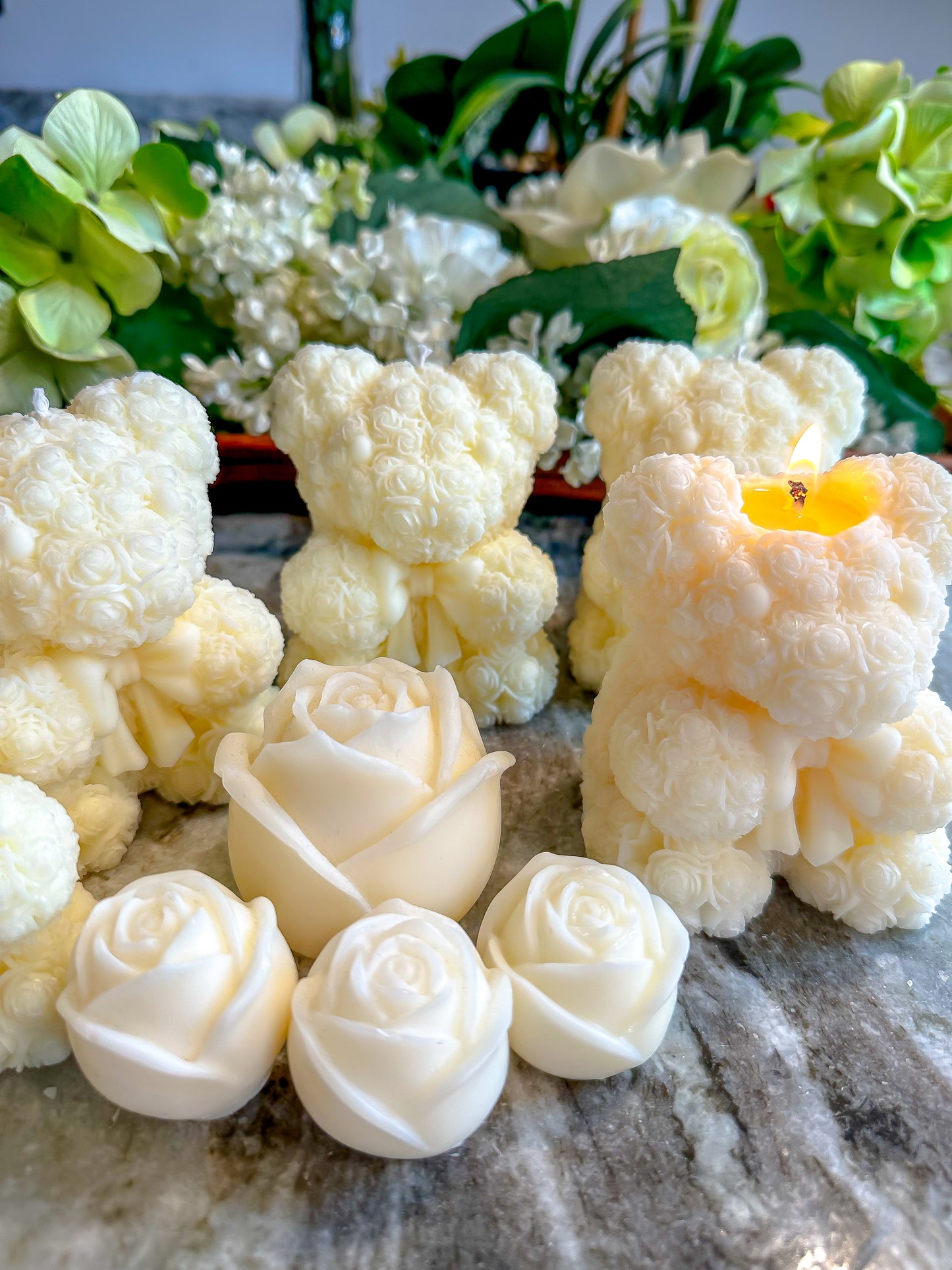 Palestinian Gardenia Bear